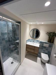 a bathroom with a toilet and a sink and a shower at Appartement sur la Pinède à Juan les pins in Antibes