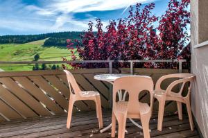 two chairs and a table on a deck with a plant at Apartment 03 - Ferienresidenz Roseneck, mit Schwimmbad in Todtnauberg bei Feldberg in Todtnauberg