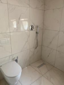 a white bathroom with a toilet and a shower at Rupa Guest House in Theth