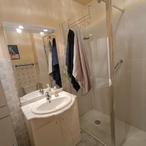 La salle de bains est pourvue d'un lavabo et d'une douche. dans l'établissement Studio les Pins, à Saint-Laurent-du-Var