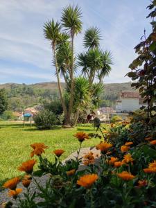 a garden with orange flowers and palm trees at Hotel Migal in Cue