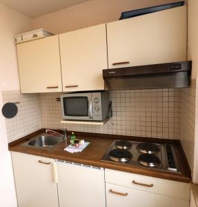 Kuhinja oz. manjša kuhinja v nastanitvi Apartment 04 - Ferienresidenz Roseneck, mit Schwimmbad in Todtnauberg bei Feldberg