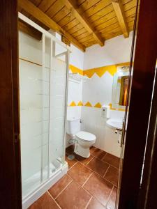 a bathroom with a toilet and a sink at Hotel Restaurante La Navaliega in Oviedo