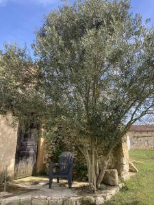 a bench sitting under a tree next to a tree at Château de Monsac in Monsac