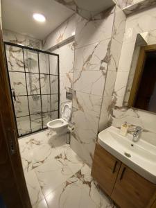 La salle de bains est pourvue d'un lavabo et de toilettes. dans l'établissement CEMRE SUIT, à Istanbul