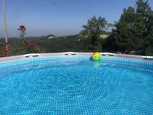a swimming pool with a ball and an umbrella in it at Cascina Curairone in Bossolasco