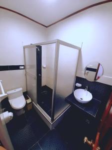 a bathroom with a shower and a toilet and a sink at 300 RV Apartments Iquitos Peru-Apartamento tercer piso con 1 dormitorio in Iquitos