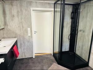 La salle de bains est pourvue d'une douche en verre et d'un lavabo. dans l'établissement Aurora dream, à Skjervøy