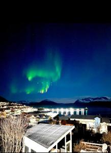une image des lumières du nord dans le ciel dans l'établissement Aurora dream, à Skjervøy