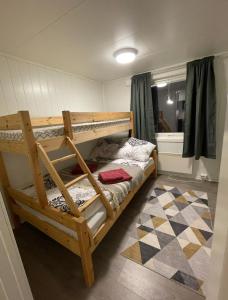 - une chambre avec 2 lits superposés et une salle de bains dans l'établissement Aurora dream, à Skjervøy
