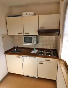 una pequeña cocina con fregadero y microondas en Apartment 10 - Ferienresidenz Roseneck, mit Schwimmbad in Todtnauberg bei Feldberg en Todtnauberg