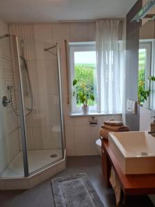 y baño con ducha y lavamanos. en Ferienwohnung Panoramablick, en Bad Mergentheim