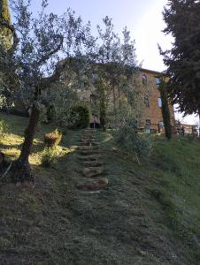 Vonkajšia záhrada v ubytovaní Rocca degli Olivi