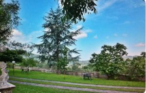 un árbol en un campo junto a una valla en Villa Oscar con piscina e palestra, en Camaiore