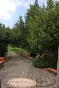 un parque con árboles y un cartel en el suelo en Villa Oscar con piscina e palestra, en Camaiore