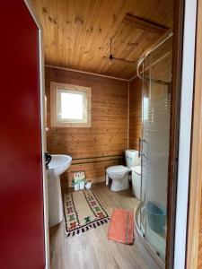 佩爾梅特的住宿－Origjina Farm，一间带卫生间和水槽的小浴室