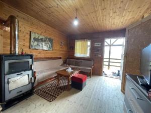 a living room with a couch and a stove at Origjina Farm in Përmet