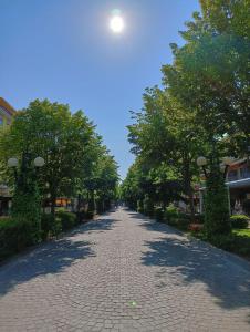a cobblestone street with trees on either side at Viale Aurora in Bibione +4 photos