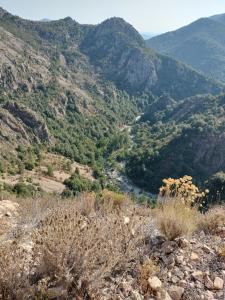 Fotografie z fotogalerie ubytování Chez eliot v destinaci Vico