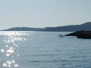 Fotografie z fotogalerie ubytování Chez eliot v destinaci Vico