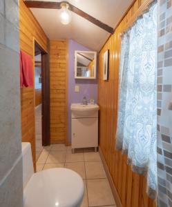 a bathroom with a toilet and a sink at Hillside Bungalows in Banff
