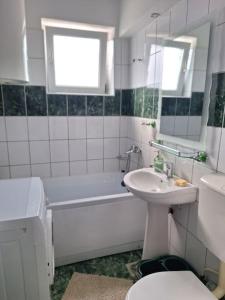 Koupelna v ubytování Miha's Apartament Sulina