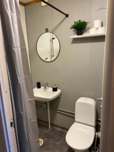 ein Badezimmer mit einem WC, einem Waschbecken und einem Spiegel in der Unterkunft Spørkel Landbruk in Lier