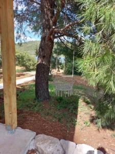 ティスノにあるRobinson house Solineのギャラリーの写真