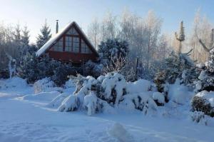 una casa cubierta de nieve con árboles y arbustos en Ramus Ūkis 