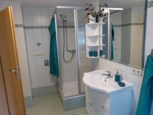 un baño con lavabo y ducha en Ferienwohnung Schön, en Münchenbernsdorf
