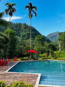 a swimming pool with palm trees and mountains in the background at Hotel TIERRA NUEVA Campestre in La Vega