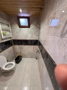 ウズンギョルにあるFalay pansiyonのバスルーム(トイレ、シャワー付)