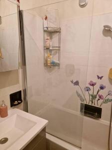 biała łazienka z prysznicem i umywalką w obiekcie Appartement meublé 1,5 p. Genève w Genewie