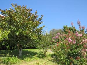 three trees in a field with pink flowers at Chalet en la playa, vistas al mar in Pobra do Caramiñal
