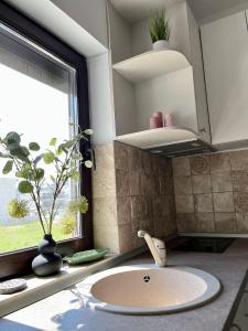 eine Badezimmertheke mit einem Waschbecken und einem Fenster in der Unterkunft Holidays Makerel Lodge Vibes Mamaia Nord in Mamaia Nord – Năvodari