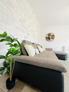 ein Sofa mit Kissen und eine Pflanze in einem Zimmer in der Unterkunft Holidays Makerel Lodge Vibes Mamaia Nord in Mamaia Nord – Năvodari