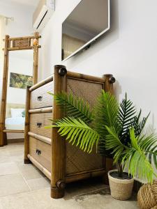 a bedroom with a bed and a potted plant at Holidays Makerel Lodge Vibes Mamaia Nord in Mamaia Nord