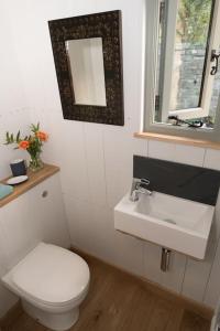 a bathroom with a white toilet and a sink at Duck Hut in Dundon
