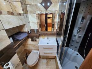 a bathroom with a toilet and a sink and a shower at Przy Wydmie in Mrzeżyno