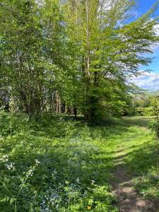 un campo de césped verde con árboles y flores en La pierre d'O, en Longpré-les-Corps-Saints