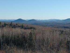 Blick auf einen Hügel mit Bäumen und Bergen in der Unterkunft Adirondack Retreat in Bakers Mills