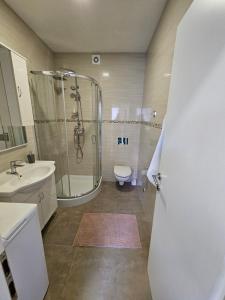 Koupelna v ubytování Apartman Paula