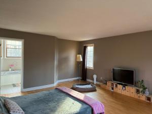 a living room with a bed and a flat screen tv at Marley's home in Woodlawn