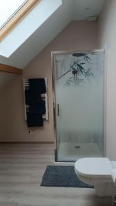 y baño con ducha de cristal y aseo. en Appartement Les Ondines 4 pers., en Lemberg