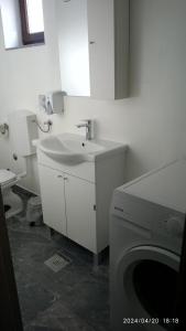 łazienka z umywalką i pralką w obiekcie Holiday house Bliss w mieście Kumrovec