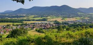 a village in a valley with mountains in the background at Rêverie du Val in Triembach-au-Val
