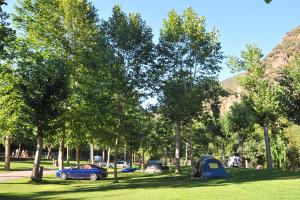 un grupo de tiendas de campaña y un coche estacionado junto a los árboles en Camping Noguera Pallaresa, en Sort