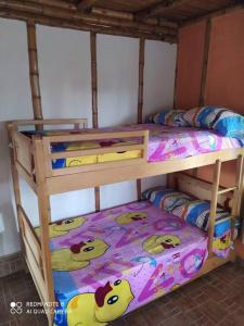 - łóżko piętrowe z 2 łóżkami piętrowymi w pokoju w obiekcie Hermosa casa campestre w mieście Popayán