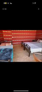 two beds in a room with red and white walls at Bedouin lifestyle in Wadi Rum