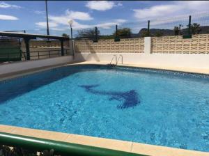 un tiburón nadando en una piscina en Apartamento con piscina en Playa de Gandía en Playa de Gandia